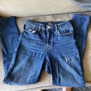 BDG Urban Outfitters Twig High-Rise Skinny Jean